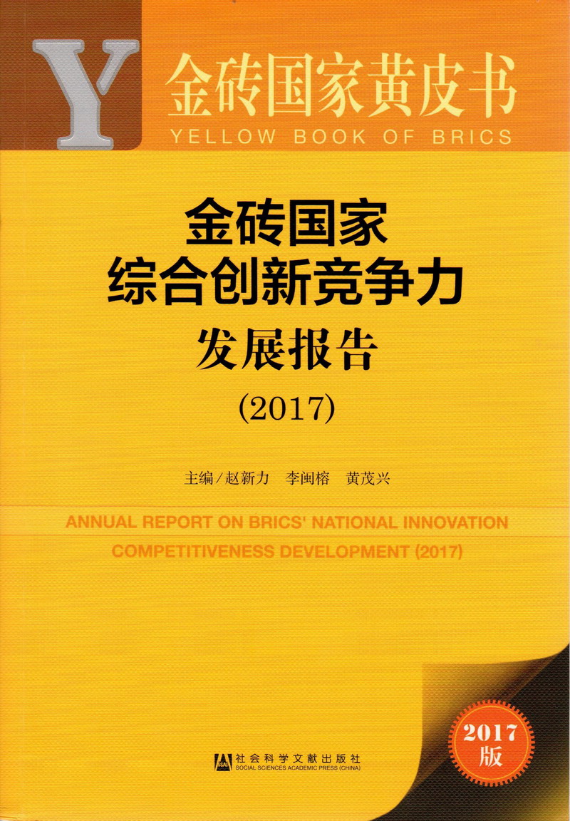 肥婆大屁股操逼金砖国家综合创新竞争力发展报告（2017）